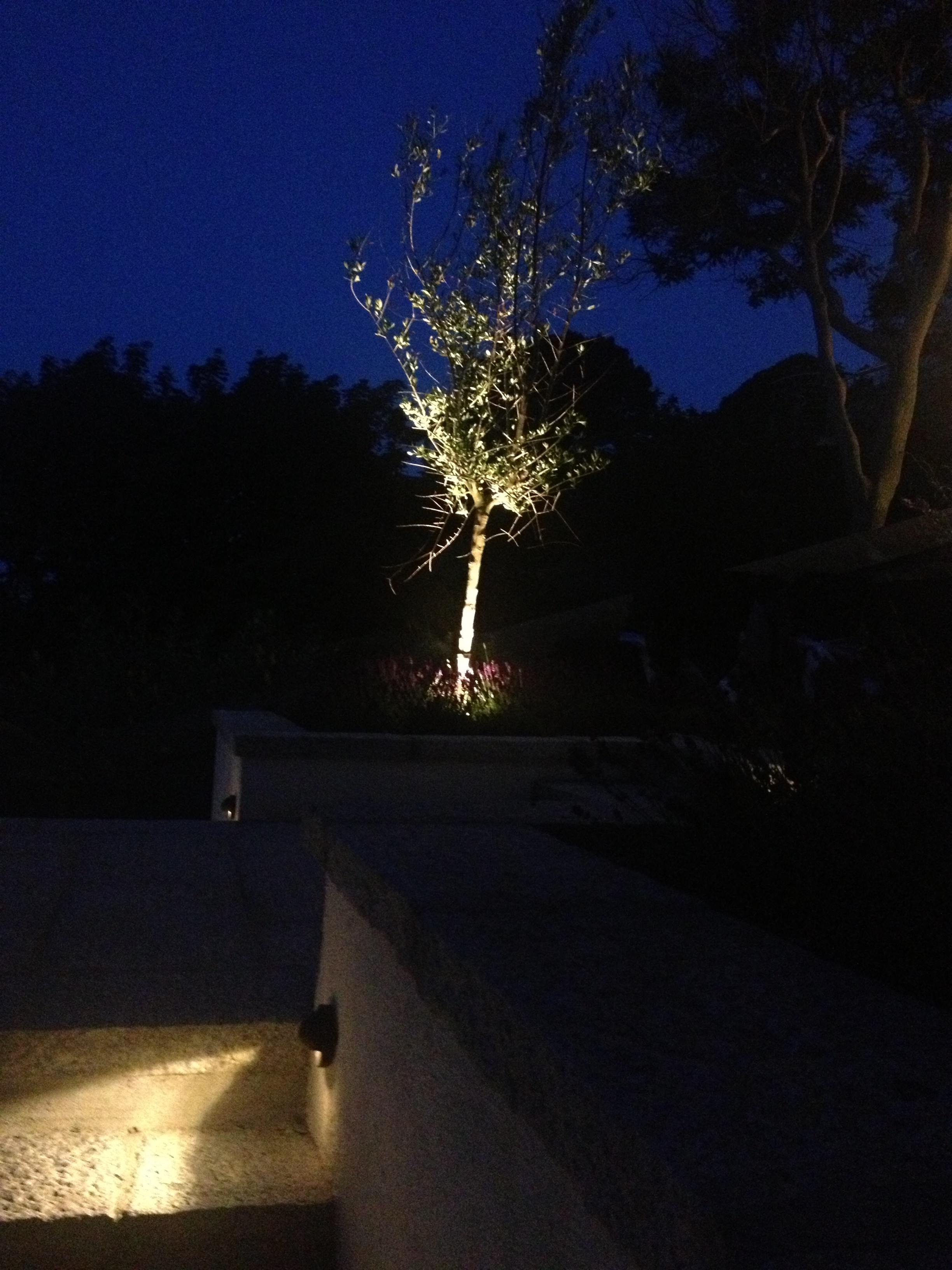 Garden-lighting-design